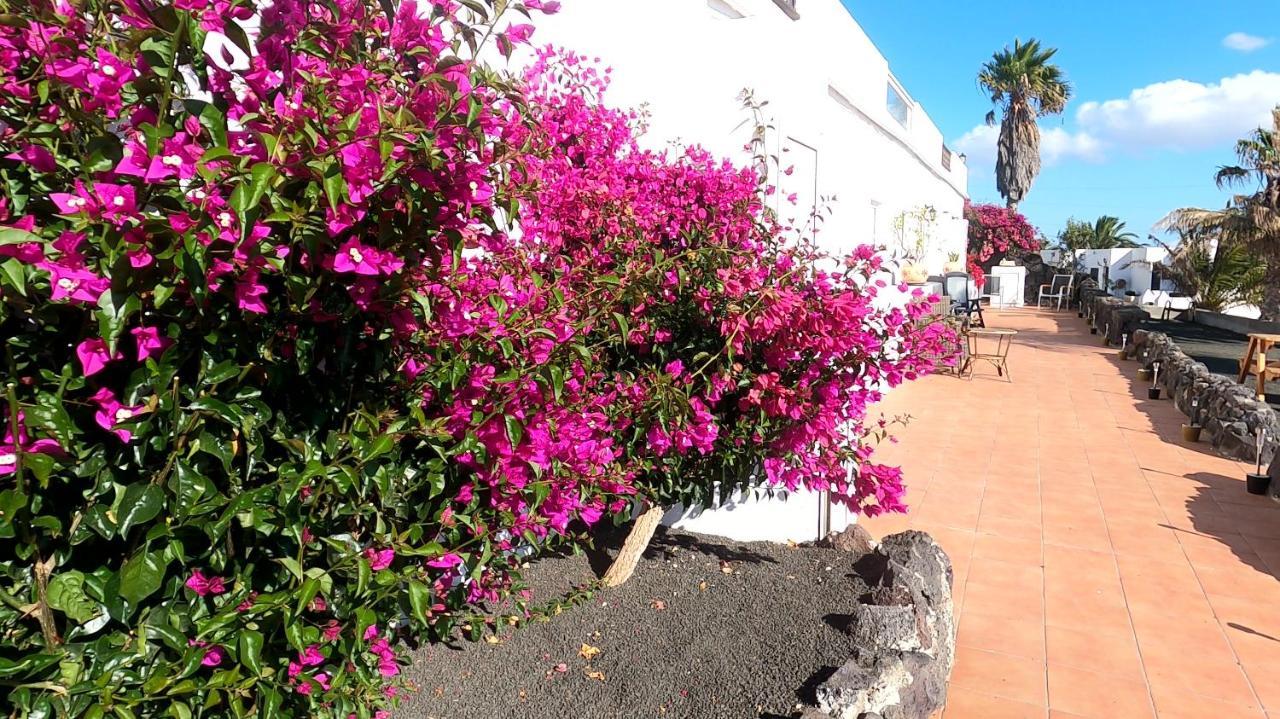 Rosa Eden Apartment La Asomada  Exterior foto
